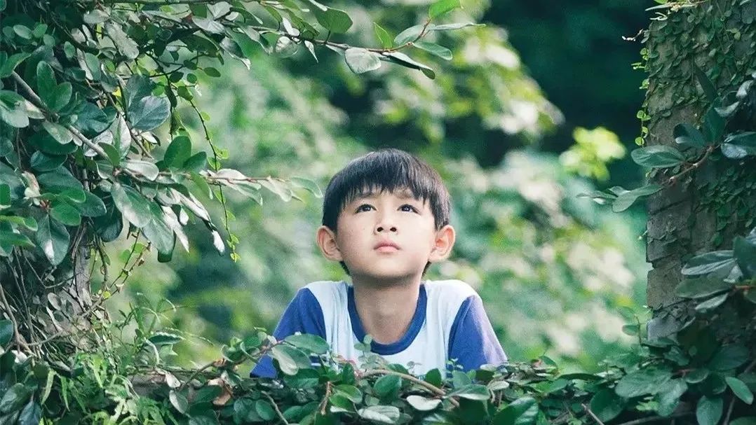 回不去的外婆家,外婆家回不去的童年