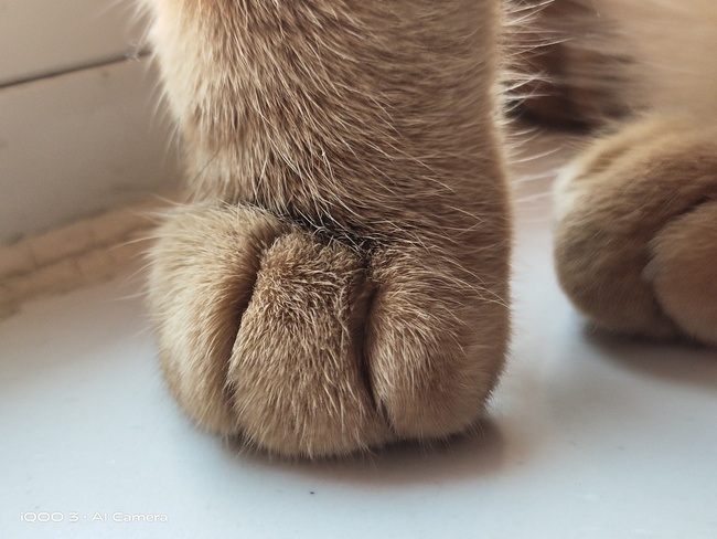 iqoo3怎么才能用得很彻底,iqoo3使用一个月后的性能