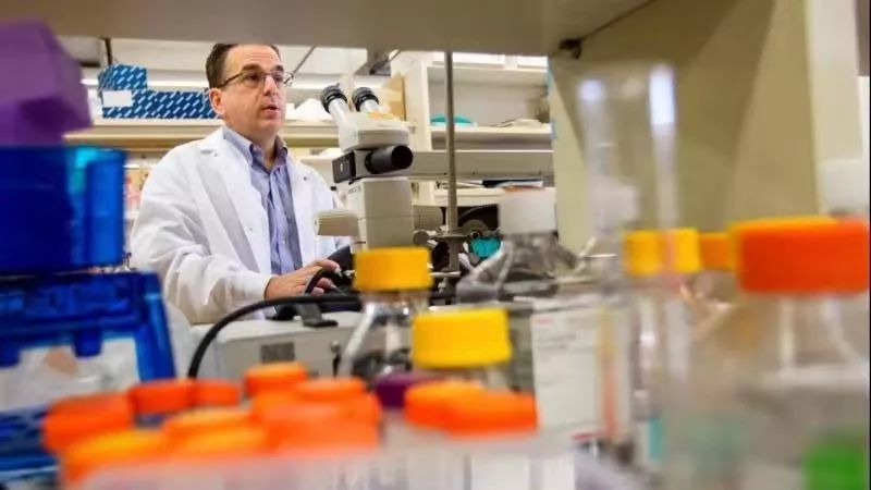 呼噜娃完整视频,呼噜娃原版视频