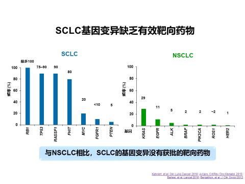 阿替利珠单抗最新报告,阿替利珠单抗sclc