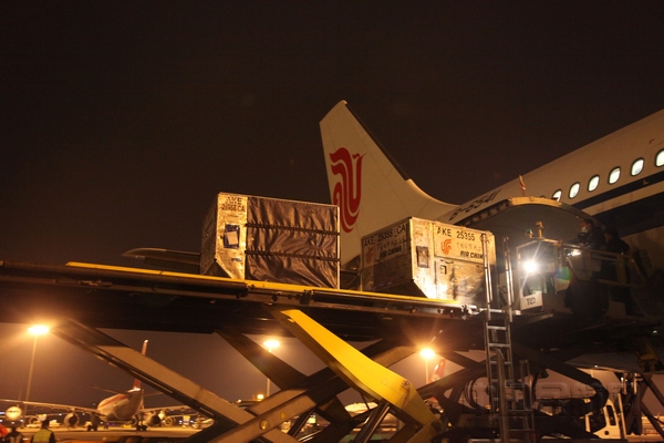 成都飞奥克兰航线即将复航,国航北京马德里圣保罗航线复航