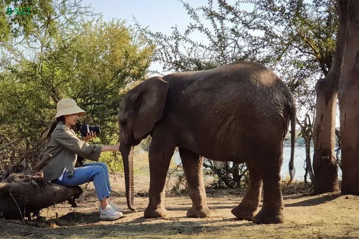 孔孝真多大了,孔孝真基本资料