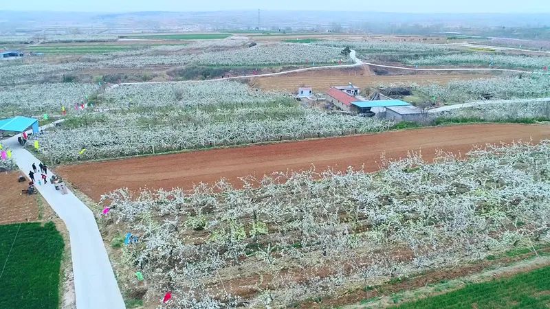 高密好玩,高密旅游怎么样