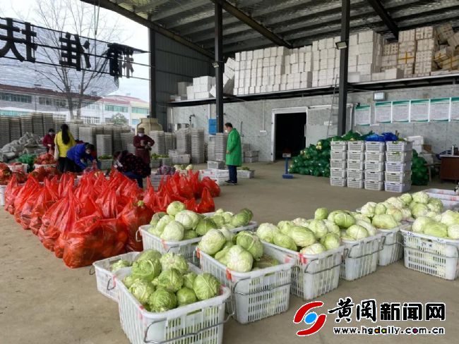 被“封”黄冈的记者,留守家乡直播告诉你:老区农民战“疫”多不易……