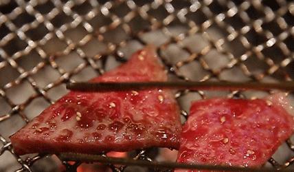 复工必吃店,最想吃的店提前打烊了搞笑版