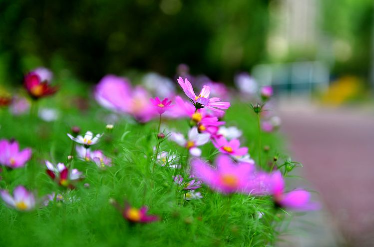 疫情下的38度朋友圈,微信朋友圈38条