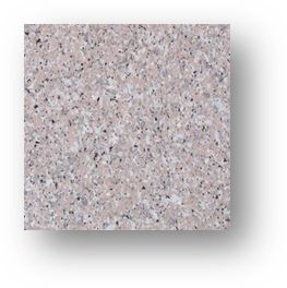 花岗岩新冠肺炎,关于新冠肺炎对人类的灾害