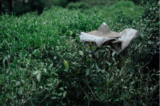 爱吃星球|就拿这些停下来的时间,来准备一份盲盒