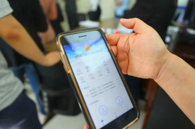 老妈乐非法集资案件,老妈乐非法集资案最新消息