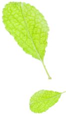 微信号被盗找什么网警,微信账号被盗网警可以找回吗