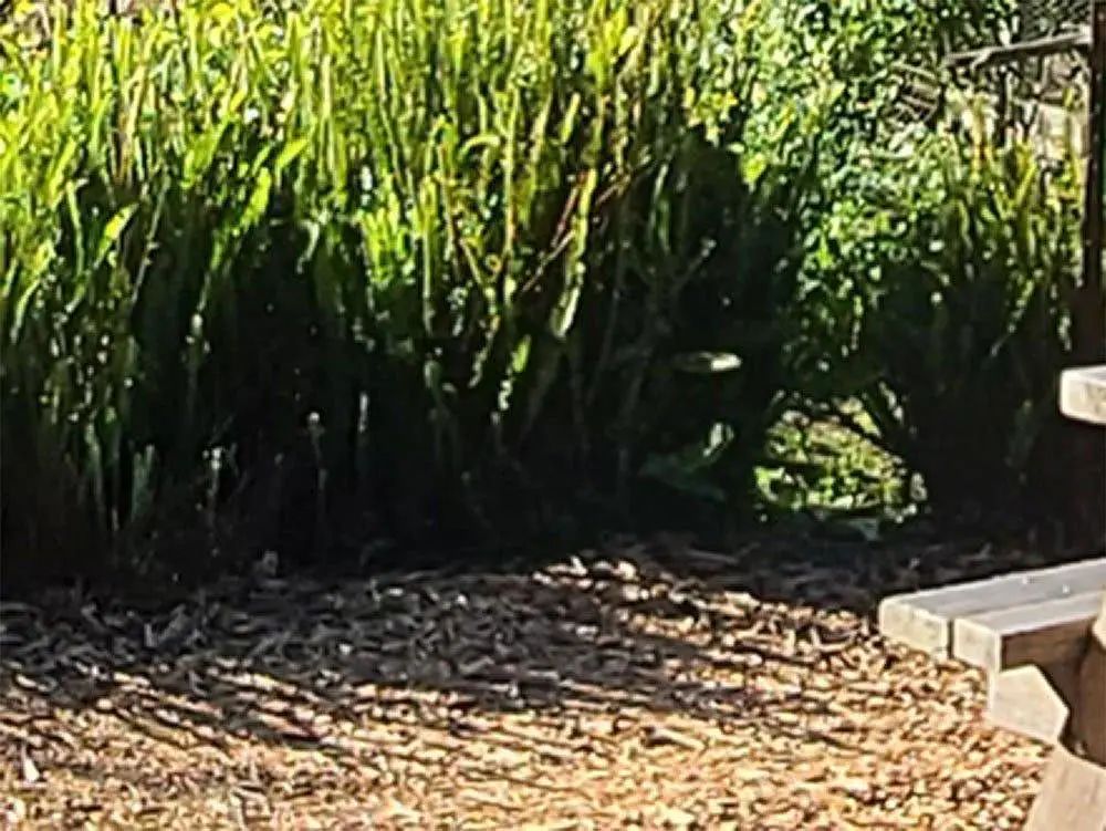 三星s20ultra相机清晰度,三星s20ultra影像