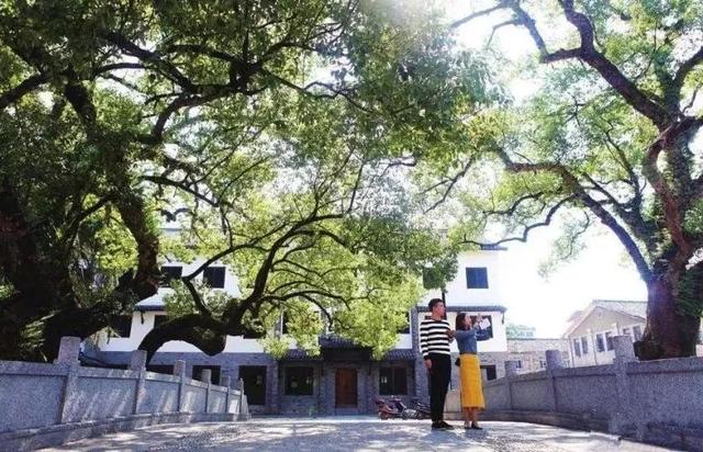 云和有什么特色地点,云和县城里的古街