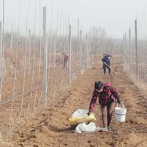 别样战友情,别样的战场一样的情怀