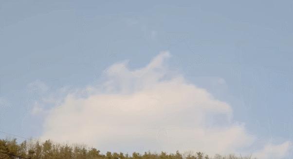 寻香|五彩斑斓的黑算什么，来见识一下五光十色的白