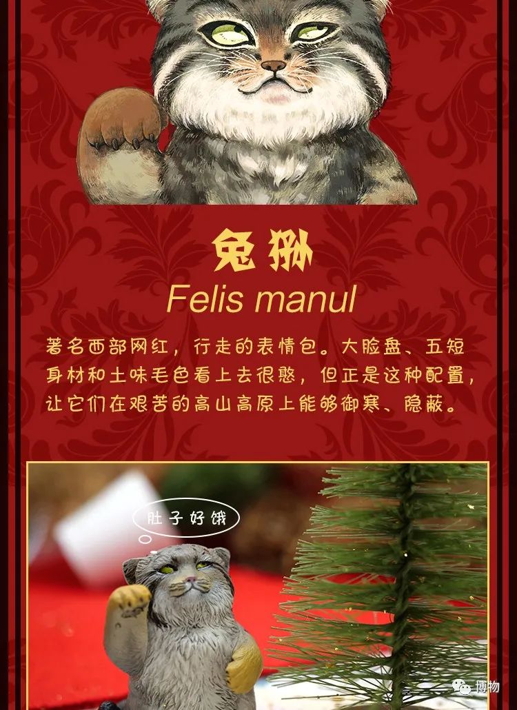 祝朋友发财的祝福,说两句祝我发财的话