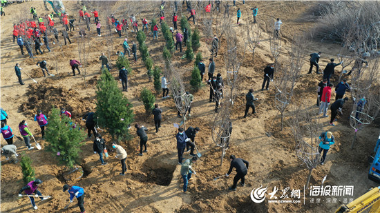 张店区园林绿化,新增百万亩国土绿化行动总结