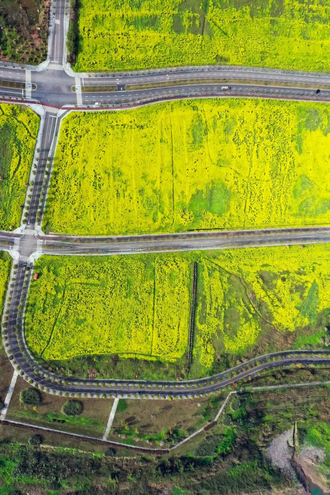 听春之声,听春之声圆舞曲感悟