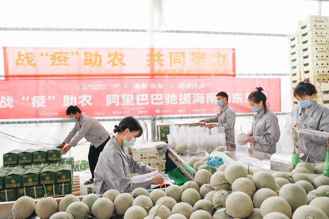 11万阿里人战“疫”：没人下KPI，但没人想停下来