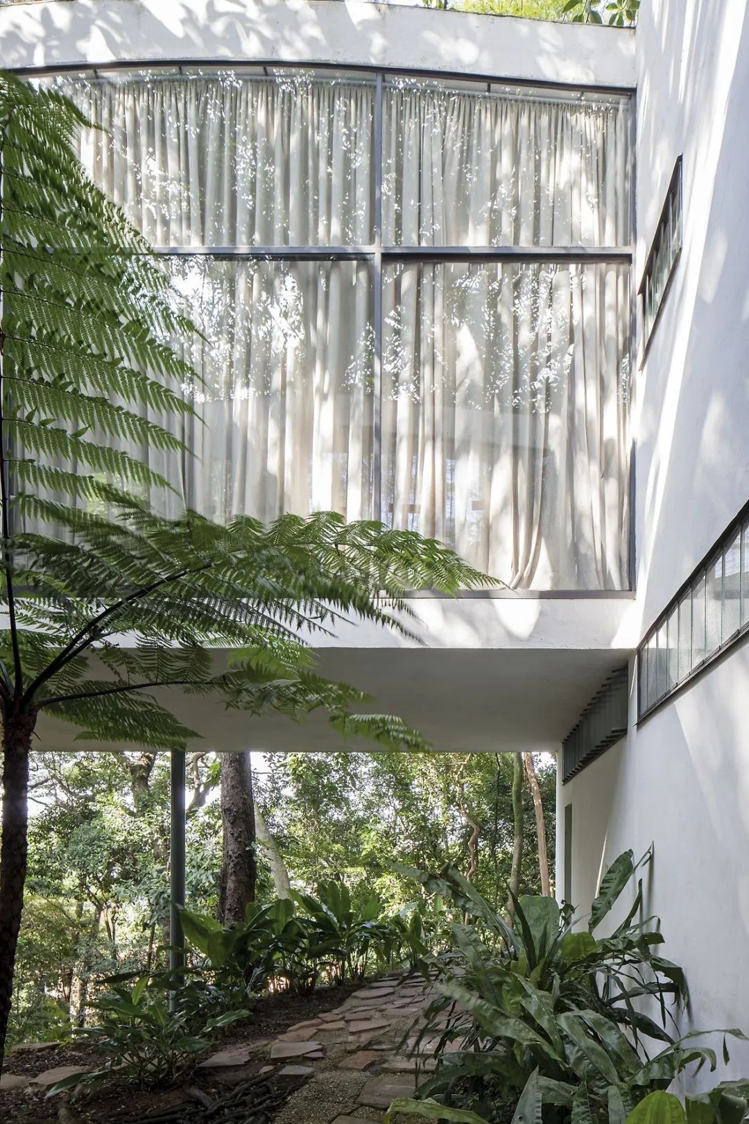 一年一度的植树,现在正在植树的视频