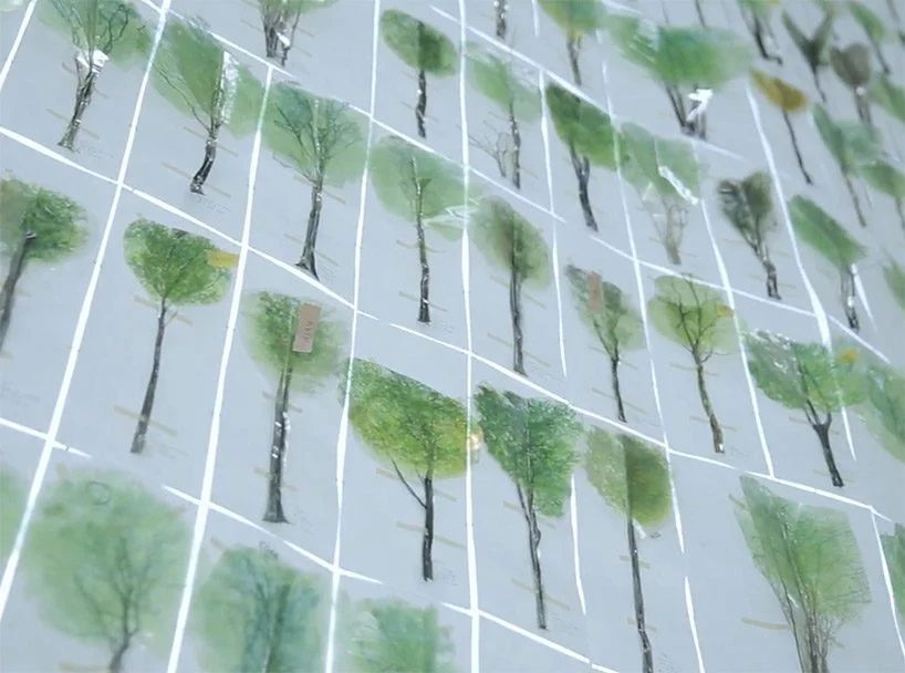 一起来植树的视频,今天适合植树吗