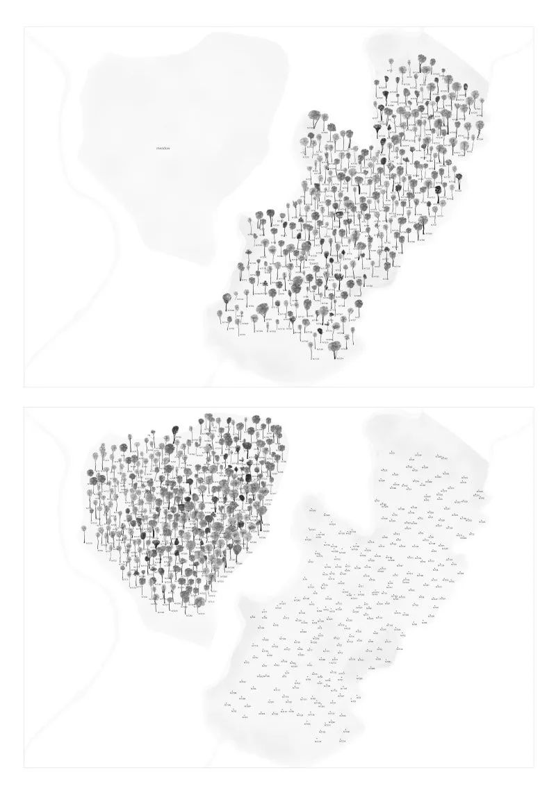 一年一度的植树,现在正在植树的视频