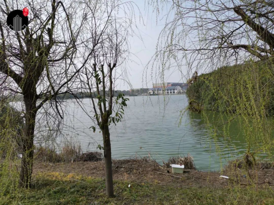 大江东未来房价走势,大江东2030年房价