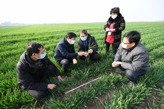 为疫情英勇牺牲,为抗击疫情舍己忘我