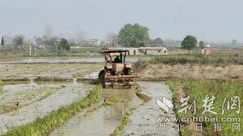 已全面掀起春耕备耕热潮,湖北农机促春耕视频