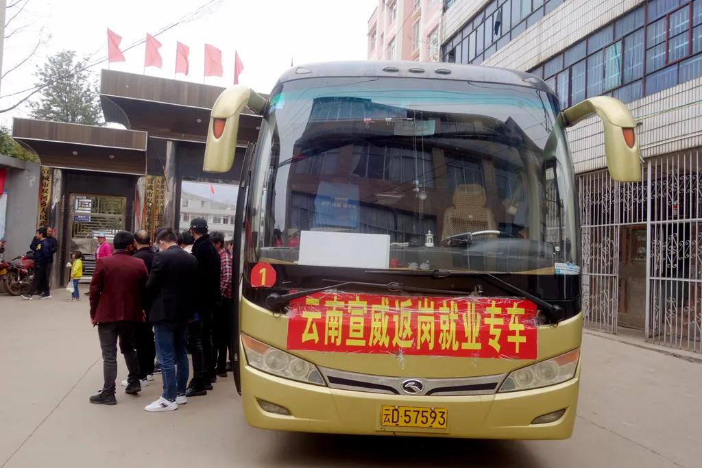 乡镇农村劳动力转移就业,双柏县劳动力转移就业