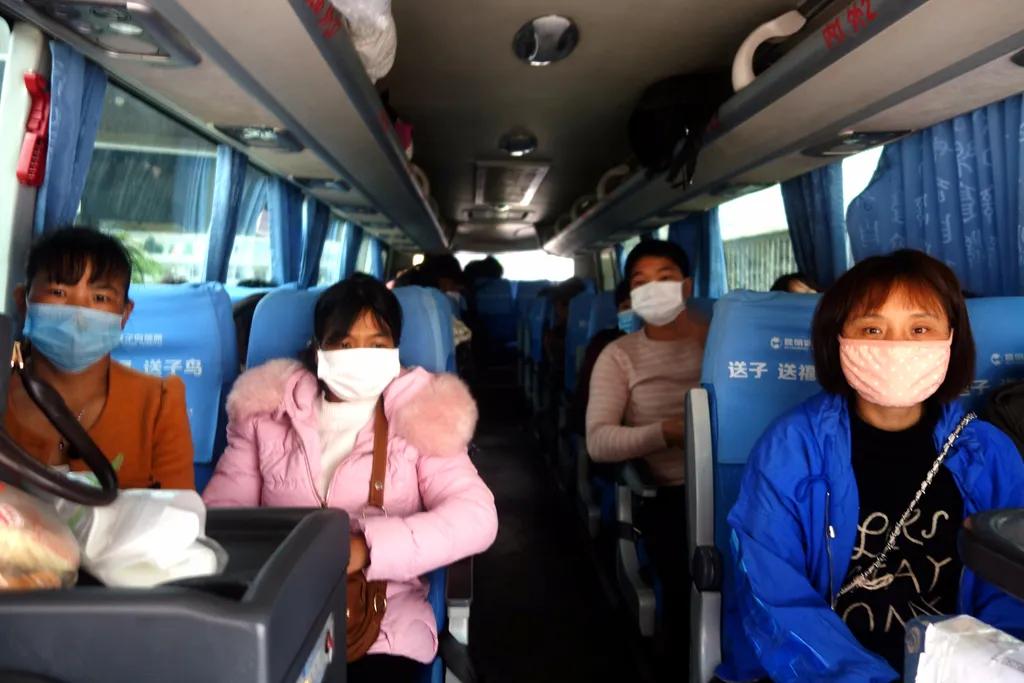 乡镇农村劳动力转移就业,双柏县劳动力转移就业