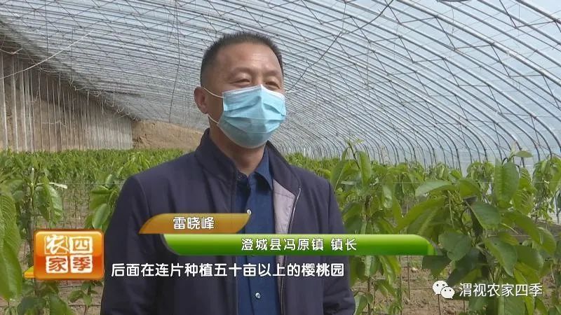 好政策促就业,好政策的落实对策