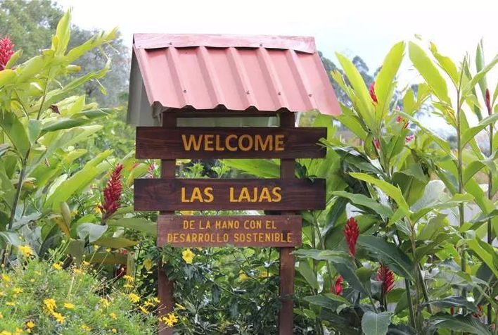 哥斯达黎加中央山谷咖啡,哥斯达黎加塔拉珠咖啡