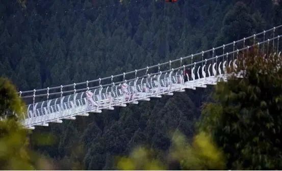 成都田园风光旅游攻略,成都旅游攻略清吧