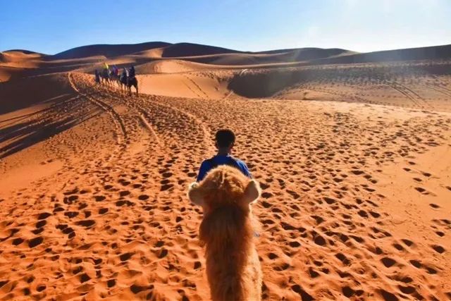 深圳一大学生瞒父母游13国,大学生瞒父母游13国发热