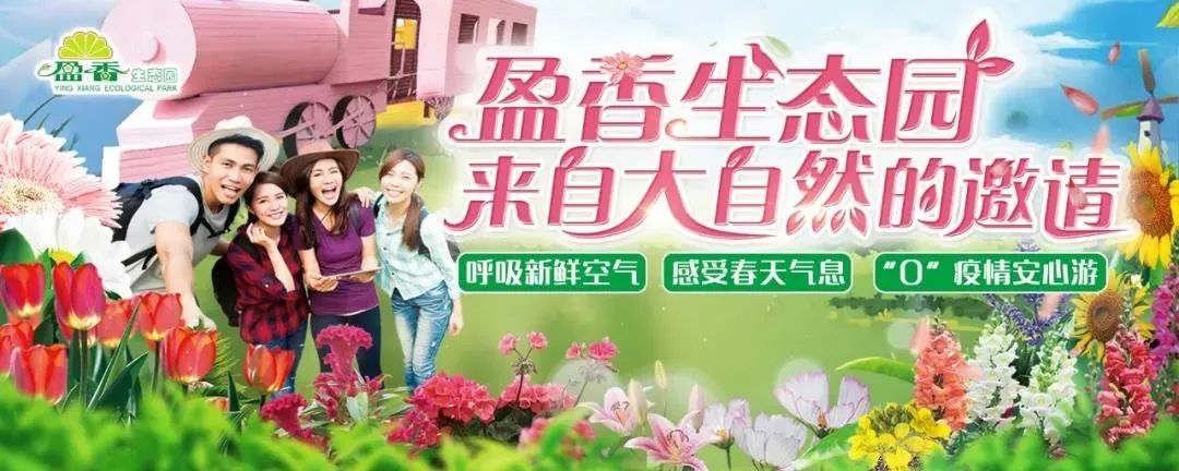 佛山景点啥时开放,佛山景区最新消息