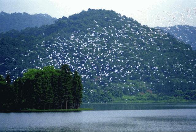 佛山景点啥时开放,佛山景区最新消息