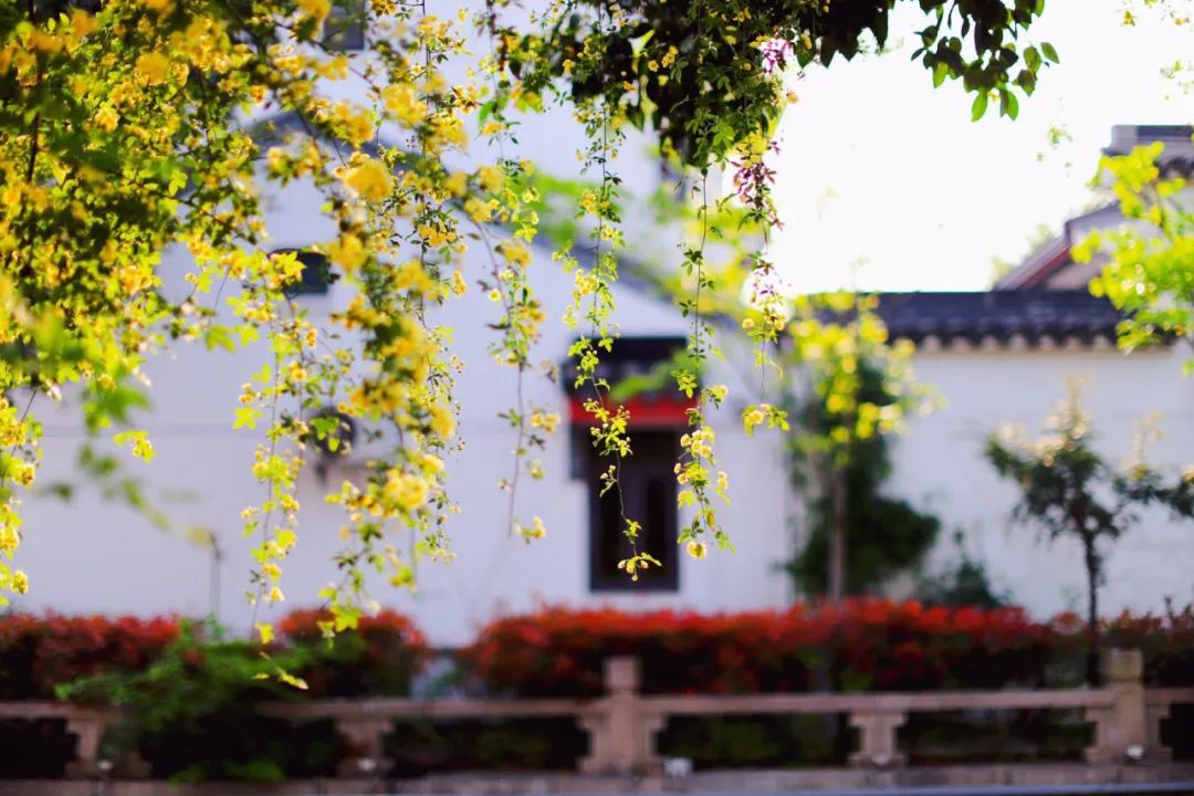 古诗词中的春天的美,春天里的古诗词美篇