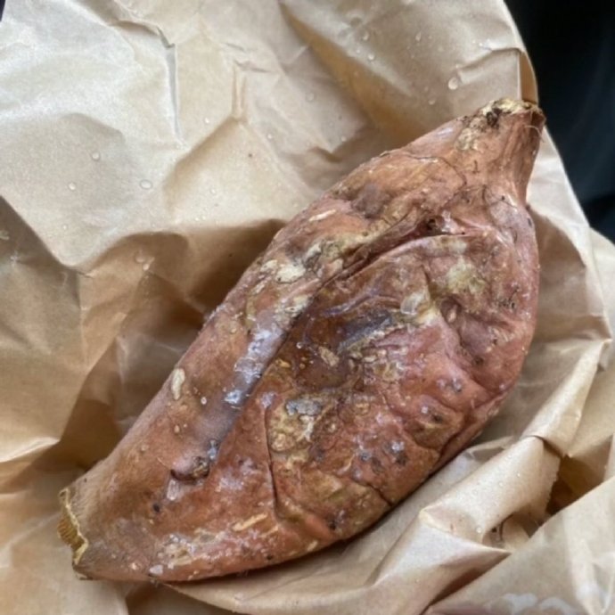 路边的小狗名字,看见路边的小狗想叫谁的名字