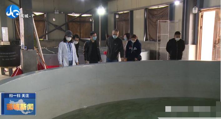 春季大黄鱼病害问题如何防治？别急，省农科院专家为您支招