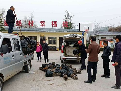 代购农资保春耕乡村振兴,农资代购上门指导