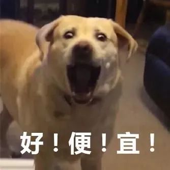 紧急扩散最新诈骗,紧急预警贷款被骗