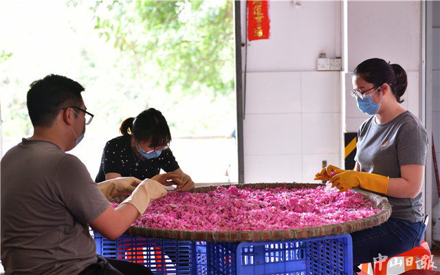 时令的味道,时令的味道完整版