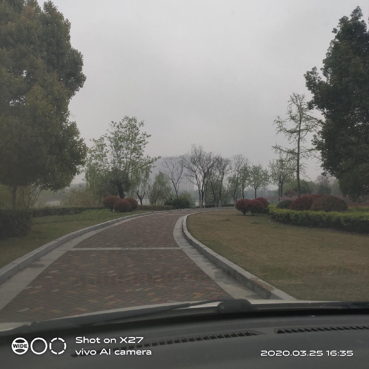 夜钓1号爆护位，人家鲤鱼爆护，我鲤毛未见