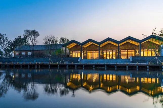 兴化千垛菜花攻略,兴化千垛菜花有多美