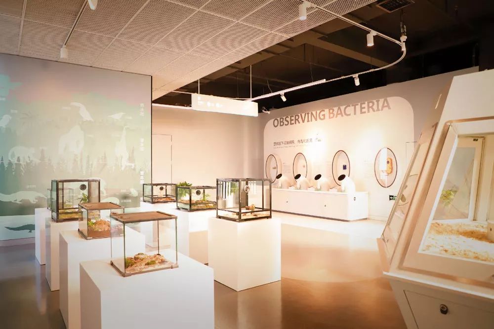 海信科学探索中心198团购,海信科学探索中心便宜门票