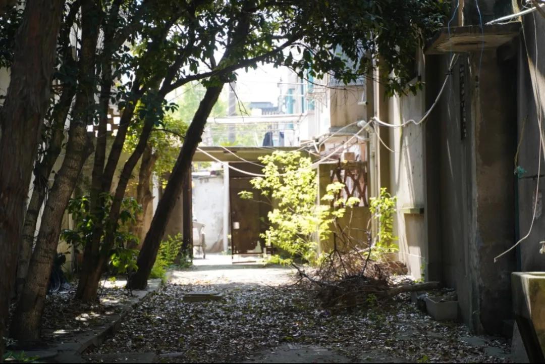 泗泾镇一线战“疫”日记（0402）——一大波文化项目剧透！继续邀你云监工