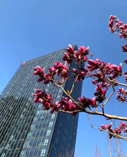 国家电投防疫控疫：在关键处着笔于危机中寻机