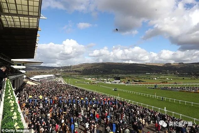 张文宏教授为英国华人专场讲座整理来了：少出门多休息，多吃水果鸡蛋喝牛奶