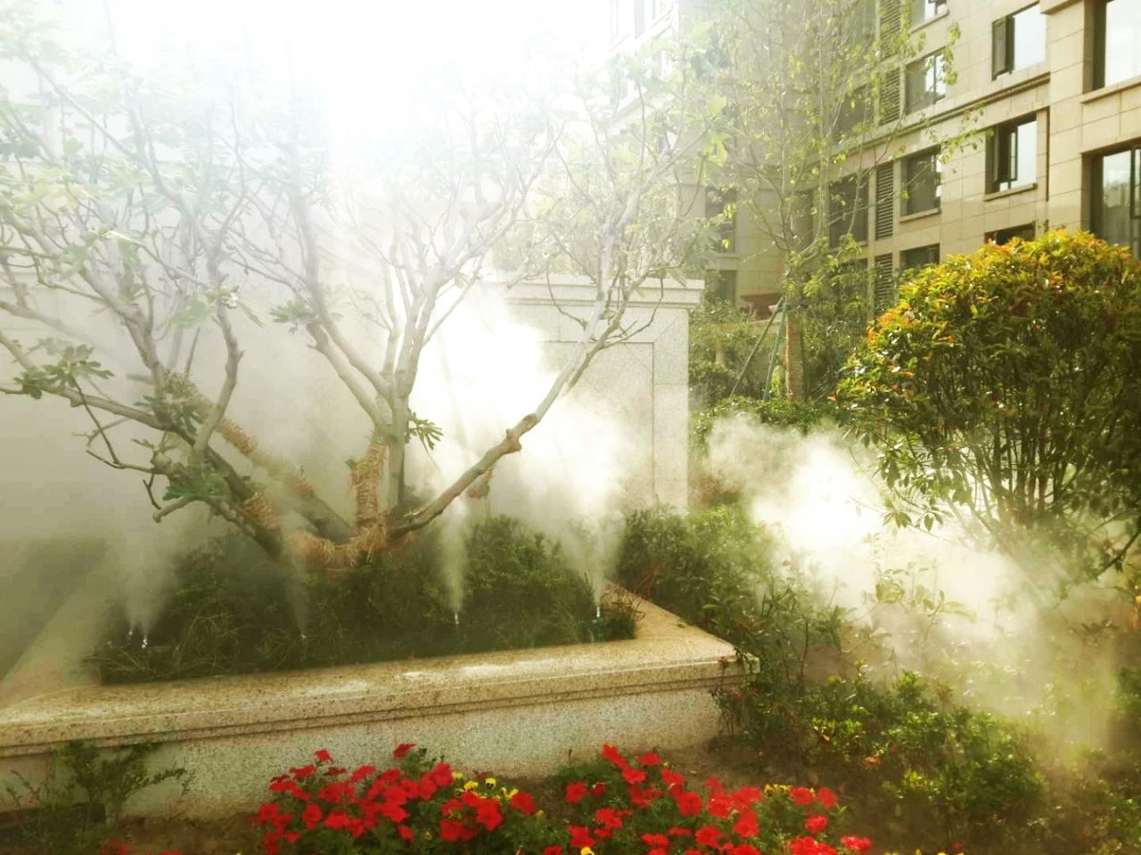 疫情之后地产新江湖，谁是平顶山的风清扬？