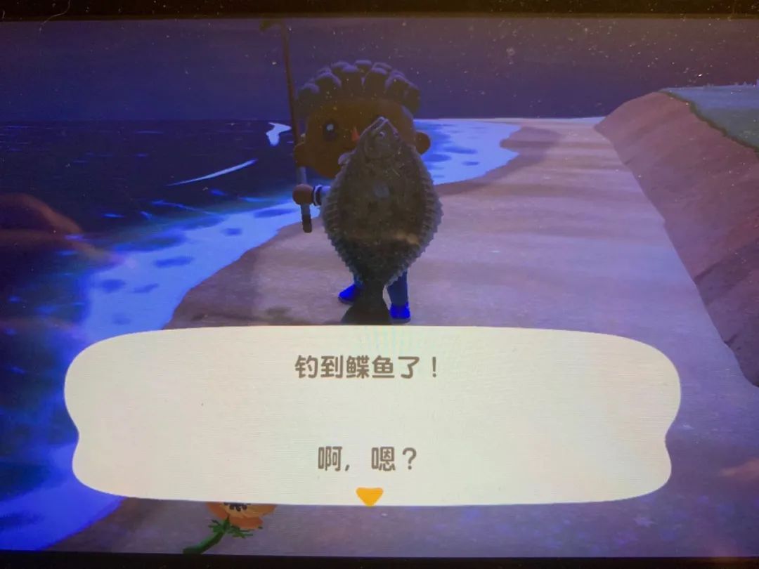 动森能钓黑鲈鱼吗,动森黑鲈鱼出现时间